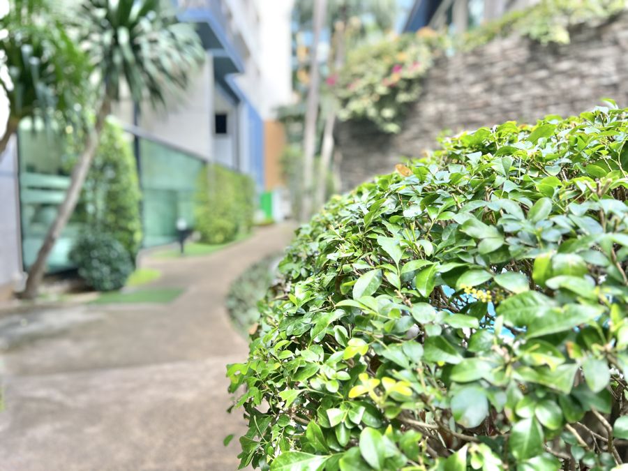 Renting in Thailand